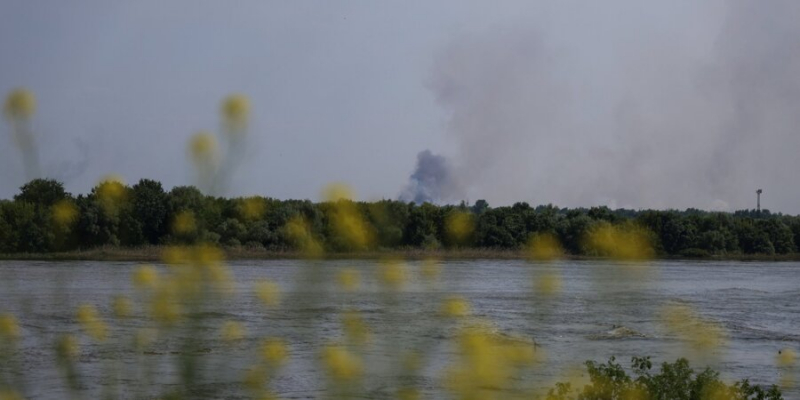 Непоправна катастрофа. Чотири види тварин, які можуть зникнути через підрив Каховської ГЕС