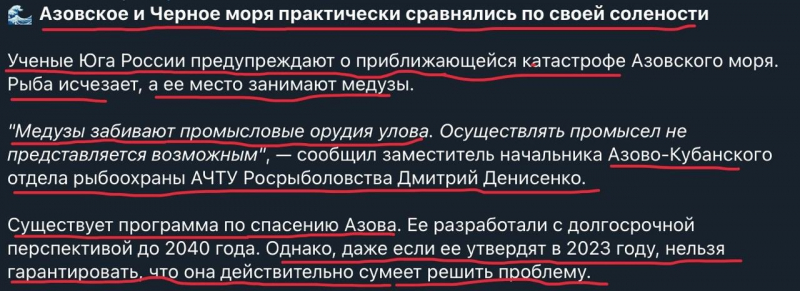 Залишаться тільки медузи. Росіяни поставили під загрозу існування майже всієї флори і фауни Азовського моря